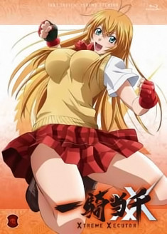 Ikkitousen : Xtreme Xecutor Specials