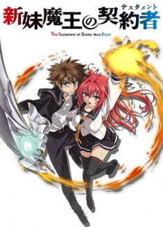 Shinmai Maou no Testament OAV